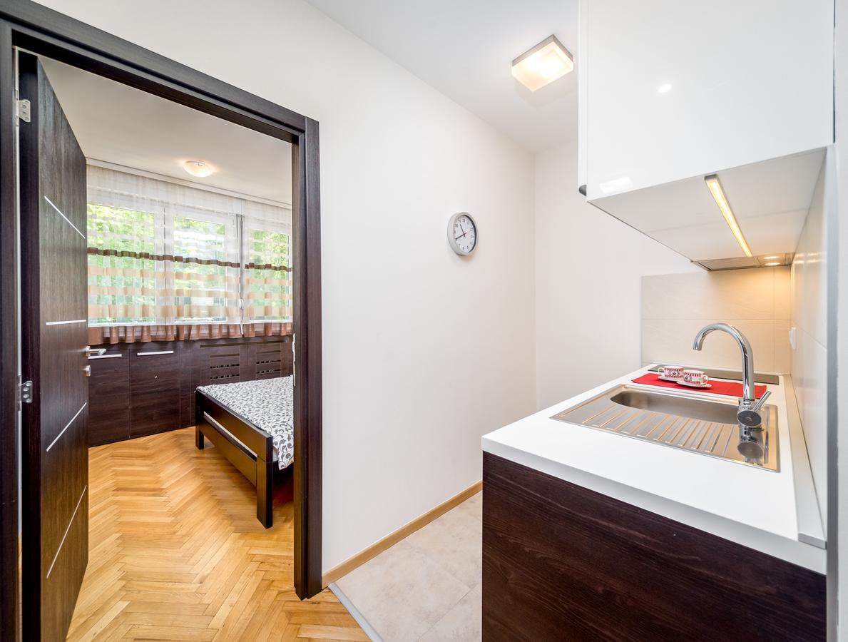 Apartments King Milan, City Center 贝尔格莱德 外观 照片
